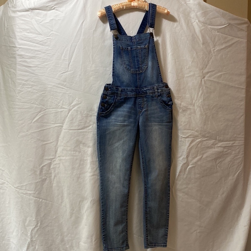 Wallflower Women’s Overalls. Size medium. Halloween:Strawberry Shortcake - Picture 4 of 8